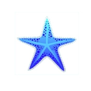 Blue Maritime Starfish